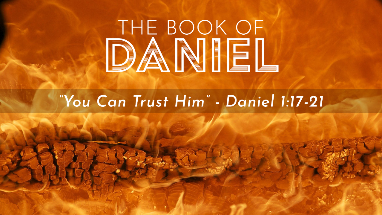 Daniel Week 4 - 720p.png