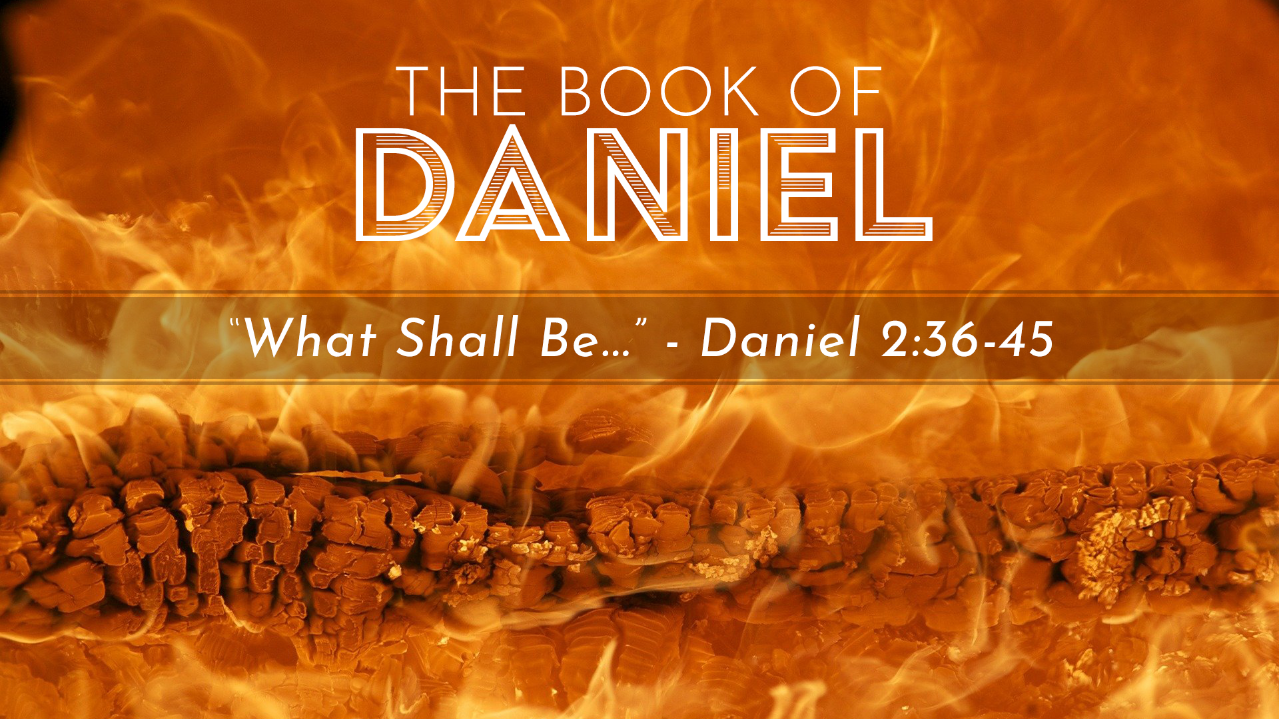 Daniel Week 8 - 720p.png